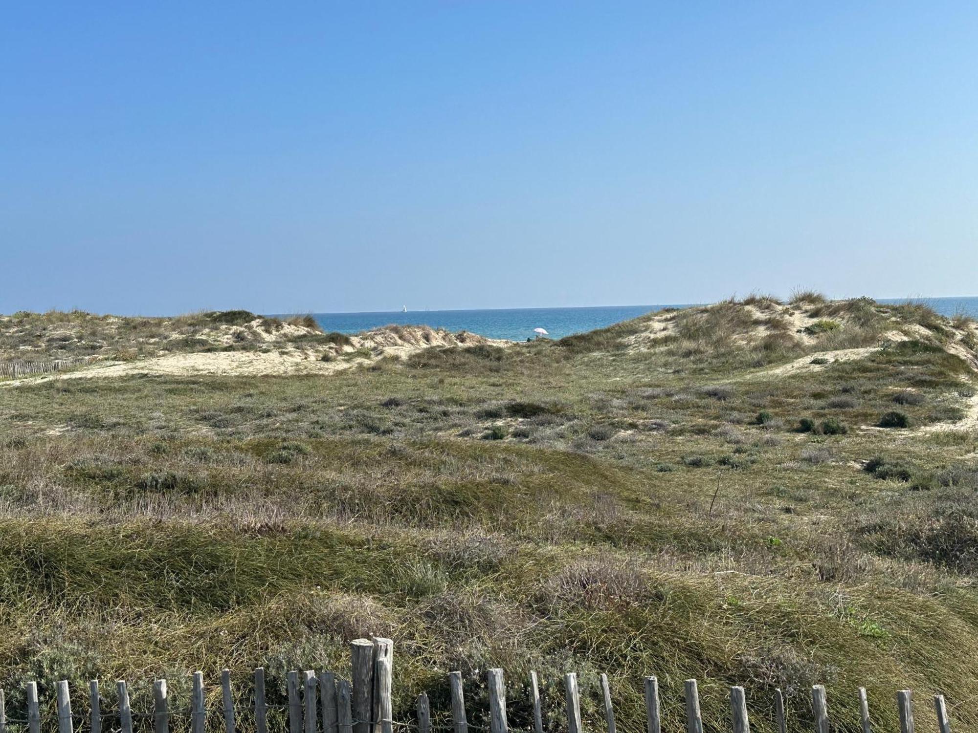 Magnifique Vue Mer F2 45 M2, Parking Surveille Linge De Maison Inclus 卡内 外观 照片